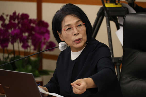더불어민주당 최민희 의원. /연합뉴스