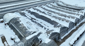 [화보] 화훼단지 비닐하우스 풀썩