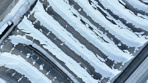 [포토] 폭설에  붕괴된 화훼단지