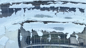 [포토] 폭설에 붕괴된 화훼단지 비닐하우스