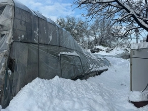폭설에 와르르… 비닐하우스 거주민, 삶이 무너졌다