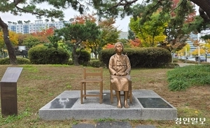 소녀상 모욕, 벌금 10만원?… 처벌수위에 더 열받는 국민