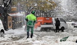 제설제 가격 폭등… 지자체 예산 부담 가중