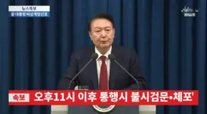 ‘불심검문’ 등 가짜뉴스, SNS서 무분별 퍼져 시민 혼란 확산 [비상계엄 사태 후폭풍]