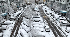 지하 주차장 지붕 주저앉힌 설(雪), 안전기준 미흡이 원인