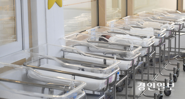 경기도내 한 산후조리원 신생아실. /경인일보DB