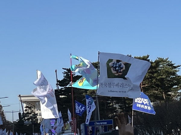 지난 7일 윤석열 대통령 탄핵 촉구 집회에서 밈 깃발이 나부끼고 있다./독자제공