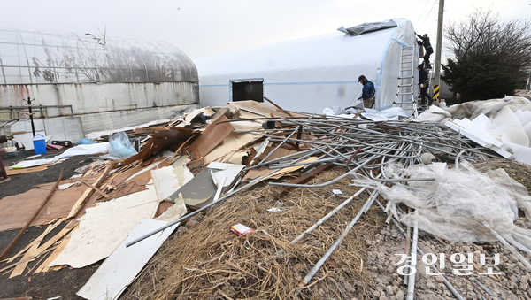 16일 여주시의 한 농가에 비닐하우스가 지난 폭설로 인해 무너져 있다. 2024.12.16 /최은성기자 ces7198@kyeongin.com