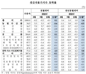 고환율 여파에 11월 공급·생산자물가 상승 전환