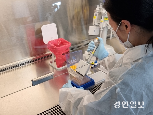 경기도동물위생시험소는 도축장 출하 소를 대상으로 한 구제역 백신 항체검사 2만4천건을 완료했다고 27일 밝혔다. 2024.12.27 /경기도 제공