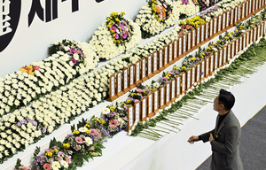 의료계 “참사 유가족·국민 트라우마 회복 위해 정부 지원 필요”