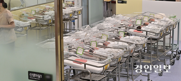 인천의 한 대형 산부인과 신생아실에서 간호사가 신생아들을 돌보고 있다. /경인일보DB