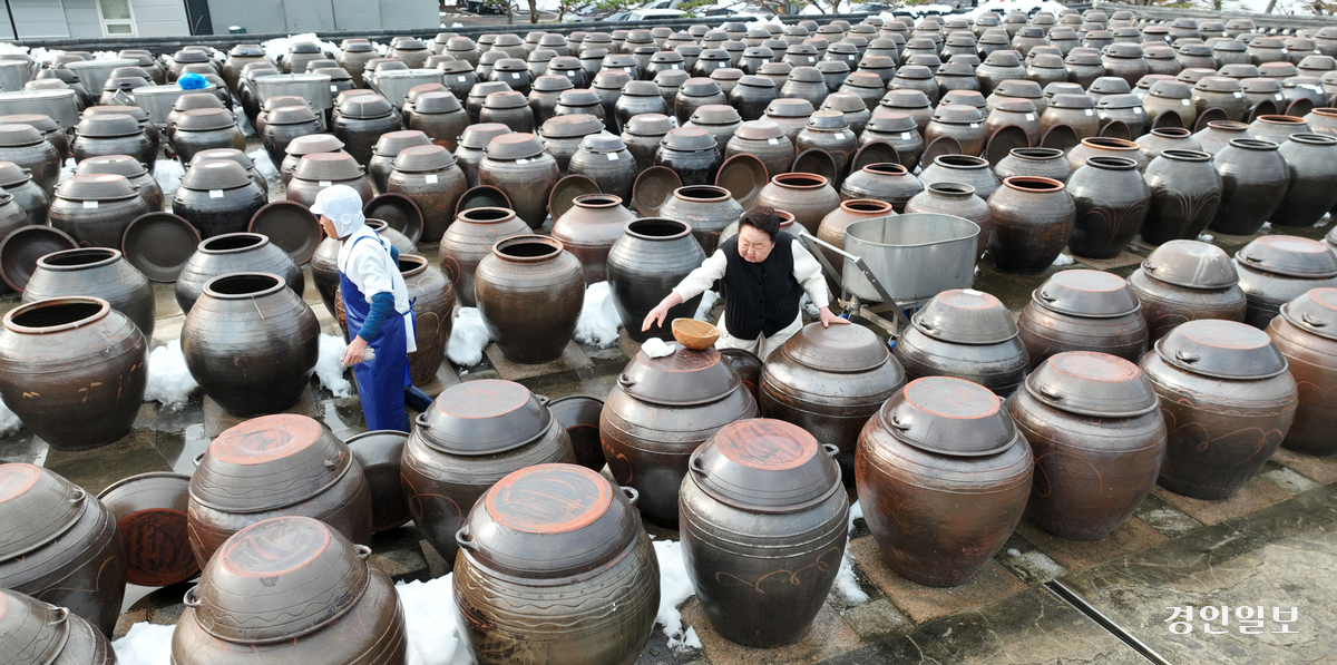 2일 오전 안성시 일죽면 서일농원에서 서분례 명인이 장을 관리하고 있다. 2024.12.2 /최은성기자 ces7198@kyeongin.com