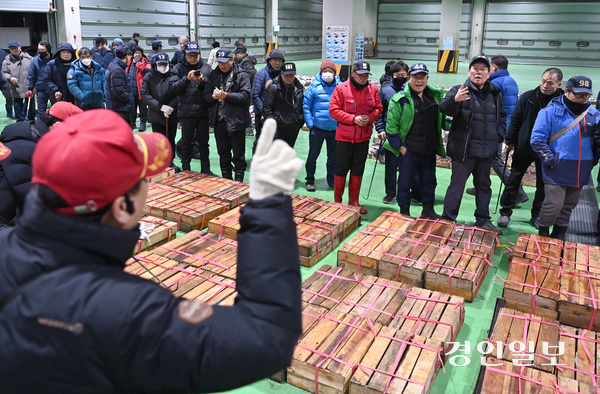 2025년 초매가 열린 2일 인천시 중구 수협중앙회 인천공판장에서 중도매인들이 힘찬 목소리로 새해 첫 수산물 경매를 진행하고 있다. 2025.1.2 /김용국기자 yong@kyeongin.com