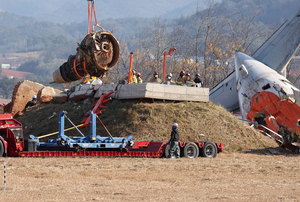 버드스트라이크로 비상… ‘둔덕 충돌’ 대형참사로 [무안 제주항공 참사]
