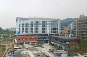 과천봉담고속화도로서 고장 차량 세우고 나왔다가… 뒷차에 치여 사망