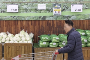 최고치 찍은 설 차례상 비용, 전통시장 30만2500원·대형마트 40만9510원