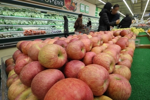 이상기온 속 채소·과일값 인상, 역대급 설 차례상 비용 만들어