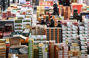 [화보] 설 명절 과일값 올리는 이상기후