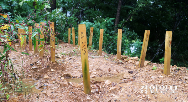 B씨는 A업체가 분묘를 이장한 장소라고 주장하는 인근 시유지(사진)가 아닌, 기존에 부모를 묻었던 공동묘지 묫자리에서 부모의 유골을 발견했다. 이마저도 어머니 유골은 거의 없는 등 온전하지 않은 상태였다. /목은수기자 wood@kyeongin.com