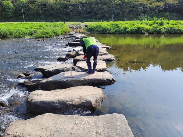 성남 탄천 수내교, 오리보 등 10개 지점의 생화학적 산소요구량(BOD)을 측정한 결과 2년 연속 1급수 수질을 유지하고 있는 것으로 나타났다. 사진은 탄천 수내교 지점. /성남시 제공