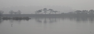 [화보] 초미세먼지 나쁨… 희뿌연 서호저수지