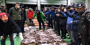 [포토&스토리] 새해 첫 수협 인천공판장 경매