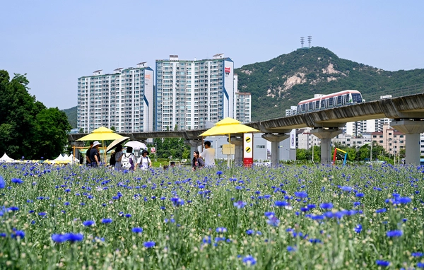 지난해 신곡 새빛정원에서 들꽃나들이 행사가 열리고 있다. /의정부시 제공