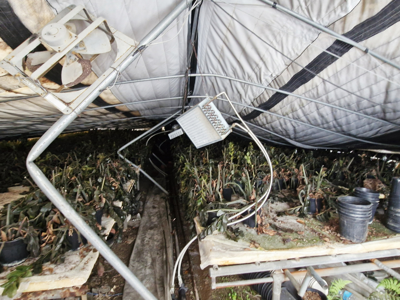 [현장르포] “지원절차 답답… 여름 출하까지 포기할판” 폭설 재난지역 보상 하세월