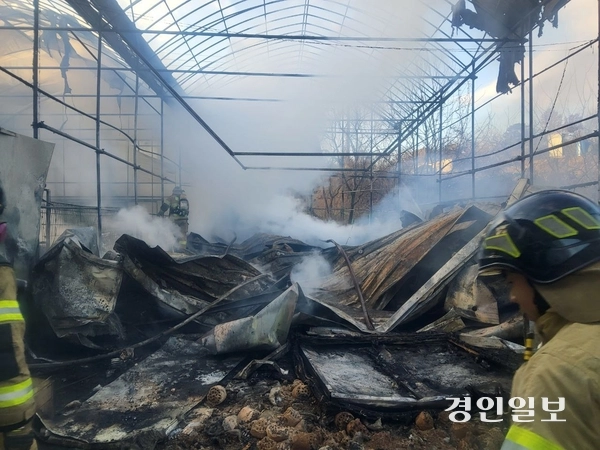 불이 날 화성시 남양읍의 비닐하우스. /경기도소방재난본부 제공