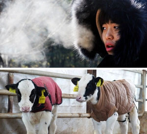 [포토] 추위에 ‘꽁꽁’