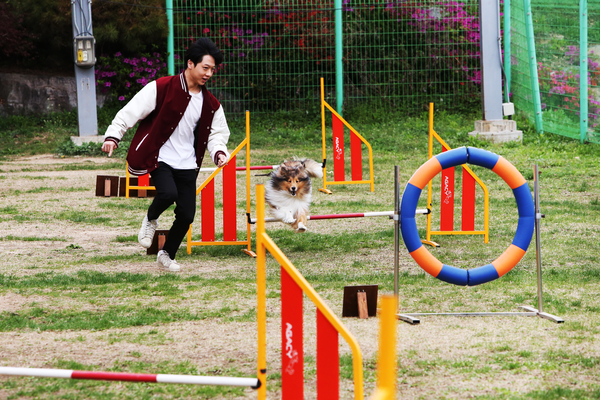 반려동물과 학생이 견사육장에서 반려견을 훈련하고 있다. 2025.2.6 /서정대학교 제공