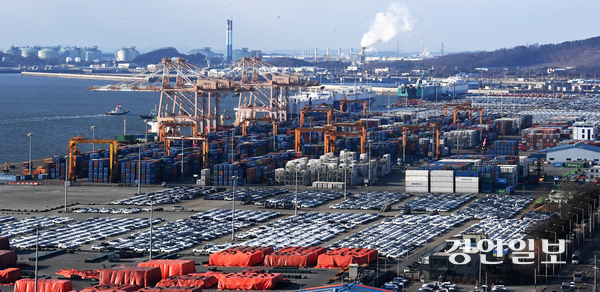 미국발 관세 전쟁으로 경기도내 중소기업부터 대기업까지 다양한 분야에 영향을 미칠 것이란 전망이 나오면서 경기도가 대응책 마련에 고심하고 있다. 사진은 평택항 수출입 부두에 화물컨테이너와 자동차가 쌓여있는 모습. 2025.2.6 /최은성기자 ces7198@kyeongin.com