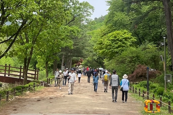 희귀 수목을 포함한 귀중한 수목자원들이 잘 보존돼 있는 서울대학교 관악수목원. 사진은 지난해 4월 시범개방 때 시민들이 수목원에 입장해 산책하고 있다. /안양시 제공
