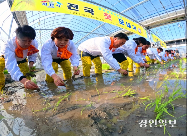 13일 오후 이천시 호법면 한 비닐하우스 논에서 열린 ‘임금님표 전국 첫 모내기 행사’에서 김경희 이천시장을 비롯한 참석자들이 모내기를 하고 있다. 2025.2.13 /최은성기자 ces7198@kyeongin.com
