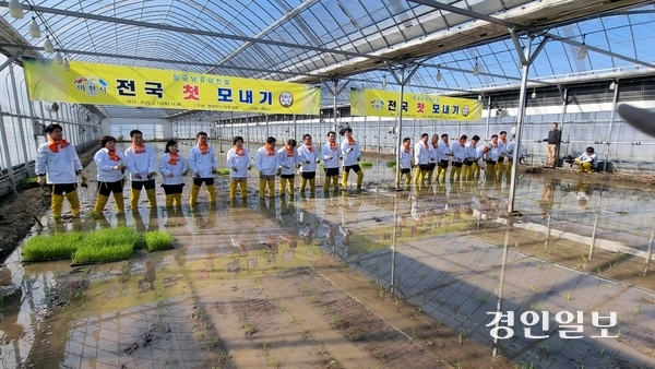 13일 이천시 호법면 안평3리 일원에서 지역 농협 주관으로 전국 첫 모내기 행사가 열렸다. 이날 모내기에서는 연동하우스에 국내 육성품종인 조생종(진광)을 심었다. 이천/서인범기자 sib@kyeongin.com