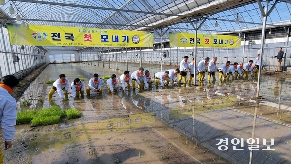 13일 이천시 호법면 안평3리 일원에서 지역 농협 주관으로 전국 첫 모내기 행사가 열렸다. 이날 모내기에서는 연동하우스에 국내 육성품종인 조생종(진광)을 심었다. 이천/서인범기자 sib@kyeongin.com
