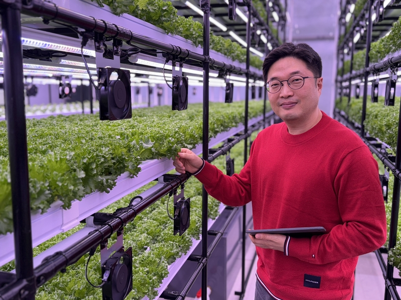 90㎡ 스마트팜 수확에서 판매까지... 네토그린, 농업혁신 '새 지평' - 뉴스 썸네일 이미지