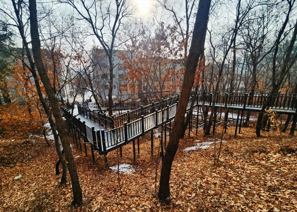 양주시 토리공원에 조성된 무장애 나눔길. 2025.2.27 /양주시 제공