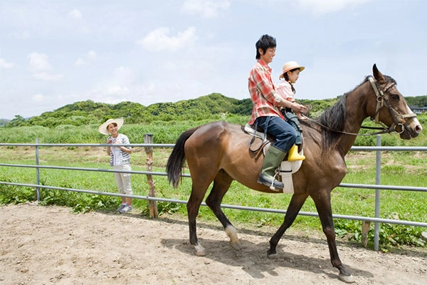 승마체험. /안산시 제공