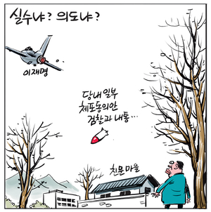 [경인만평] 실수냐? 의도냐?