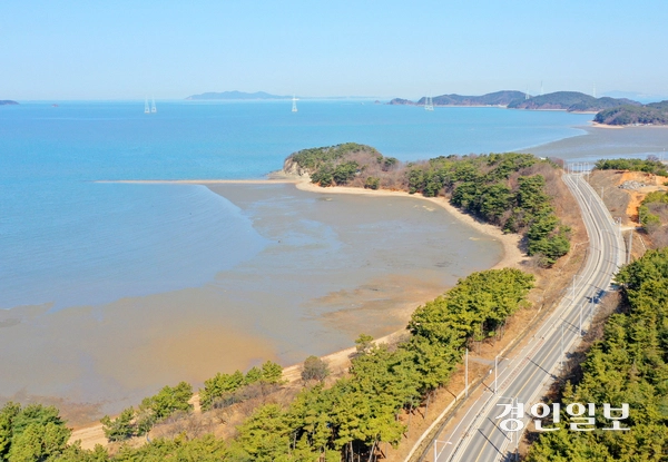 대부동 전경. /안산시 제공