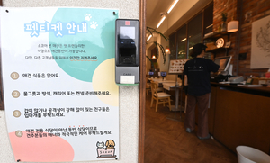 [여러분 생각은?] 환영과 불편 사이… 식당·카페 안 고양이·강아지 허용