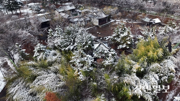 수도권 지역에 역대 가장 늦은 3월 대설주의보가 내려진 18일 오전 수원시 팔달구  효원공원에 내린 눈이 설경을 이루고 있다.  2025.3.18 /임열수기자 pplys@kyeongin.com