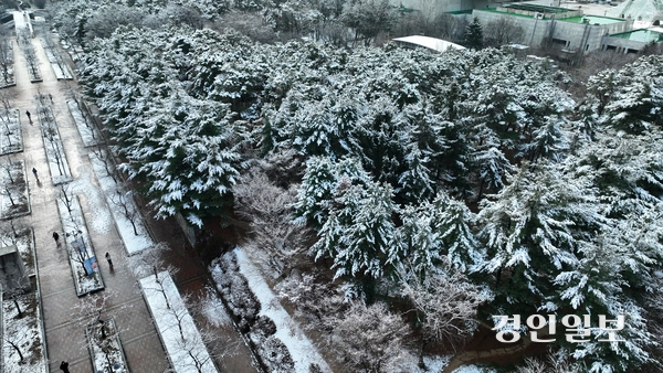 수도권 지역에 역대 가장 늦은 3월 대설주의보가 내려진 18일 오전 수원시 팔달구  효원공원에 내린 눈이 설경을 이루고 있다.  2025.3.18 /임열수기자 pplys@kyeongin.com