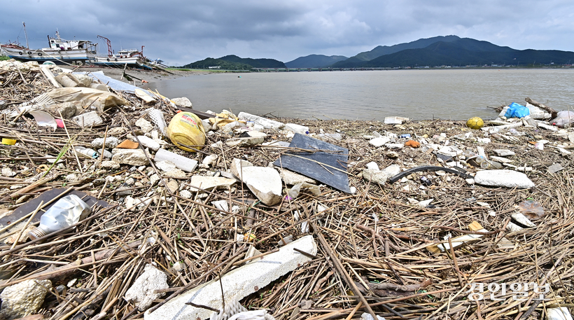 인천시 강화군 더리미 포구 부잔교 일대에 각종 초목류와 생활 쓰레기가 뒤엉켜 있다. 강화군과 김포시 사이 강화해협에 위치한 더리미포구는 한강,임진강의 강물과 서해가 만나는 지점으로 온갖 쓰레기들이 포구를 뒤덮고 있는 실정이다. /경인일보DB