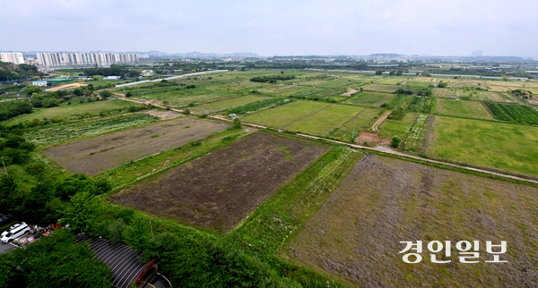 지난해 토지거래허가구역에서 해제된 인천 내 4개 지역 거래량은 오히려 감소한 것으로 나타났다. 사진은 계양테크노벨리 전경. /경인일보DB