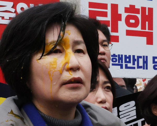 윤석열 대통령 탄핵심판 선고일 발표가 늦어지고 있는 가운데 20일 서울 종로구 헌법재판소 앞에서 기자회견에 참가 중이던 더불어민주당 백혜련 의원이 계란을 맞은 채 발언하고 있다. /연합뉴스