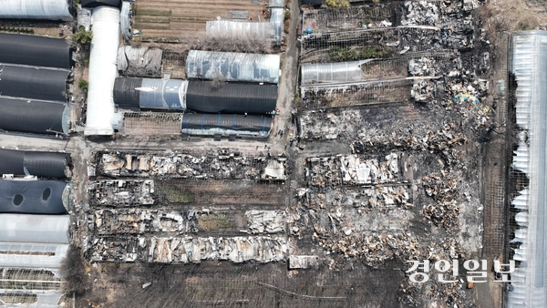 24일 오후 과천시 꿀벌마을 주거용 비닐하우스 단지가 화재로 인해 잿더미로 변했다. 2025.3.24 /최은성기자 ces7198@kyeongin.com