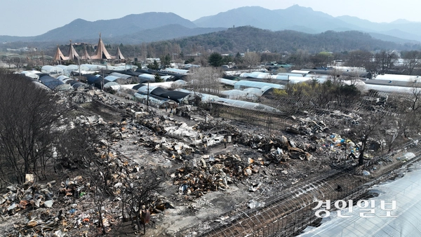 24일 오후 과천시 꿀벌마을 주거용 비닐하우스 단지가 화재로 인해 잿더미로 변했다. 2025.3.24 /최은성기자 ces7198@kyeongin.com